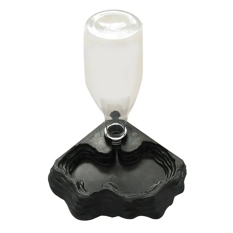 Pet Reptiles Turtles Feeder