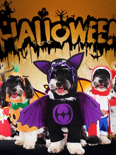 Halloween Dog Outfits & Pet Cat Cosplay Costumes