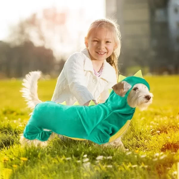 Halloween Dog Dinosaur Costume Warm Winter Pet Clothes Funny Puppy Transfiguration Costume Dog Dino Hoodie Cosplay Photo Props - Image 6