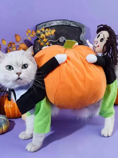 Funny Pet Cosplay Costume Small Medium Dog or Cat